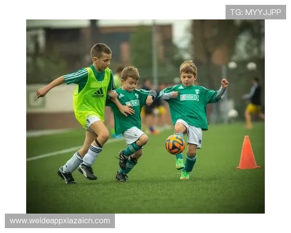 劲浪体育如何打造专业化青少年体育培训体系的实用指南